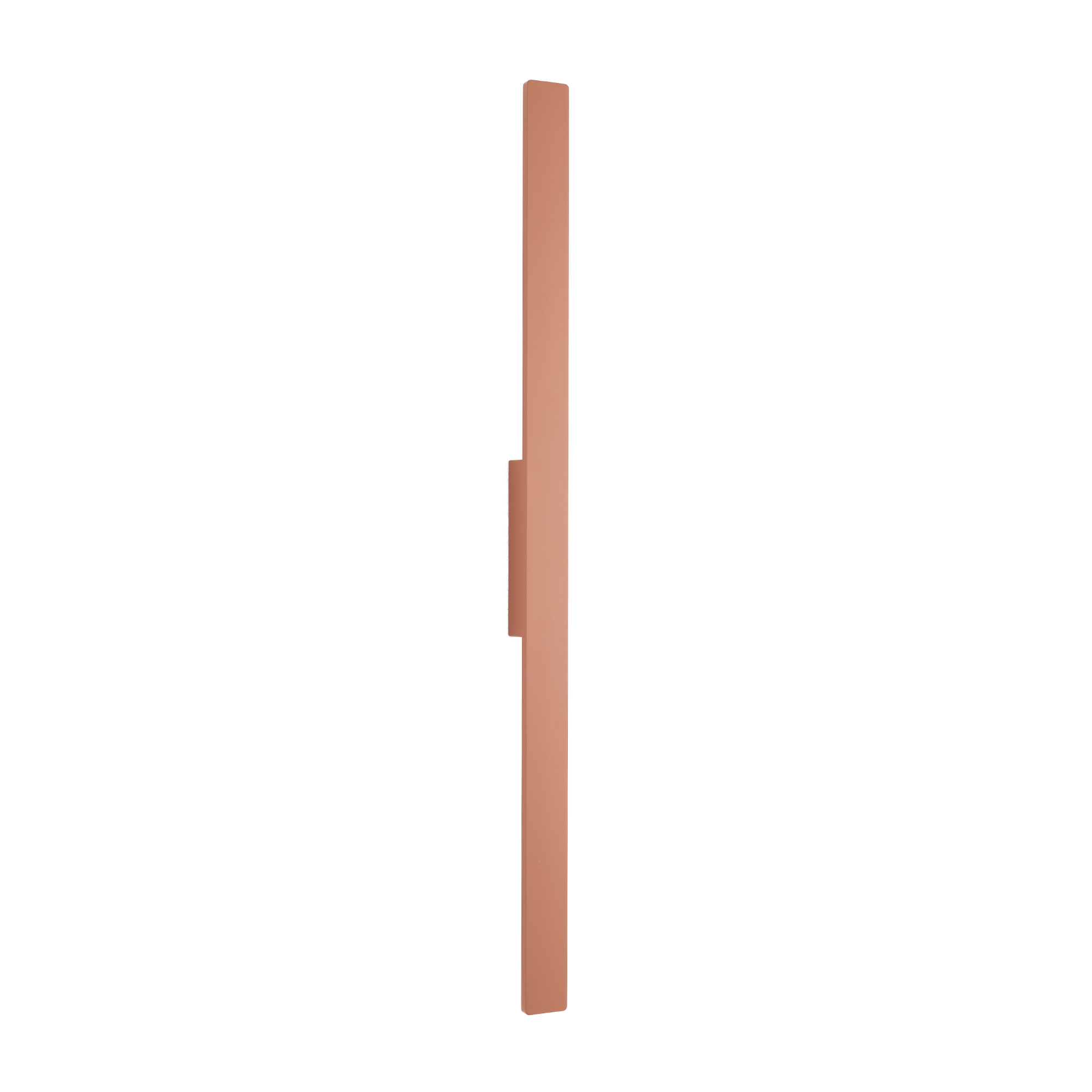 11557