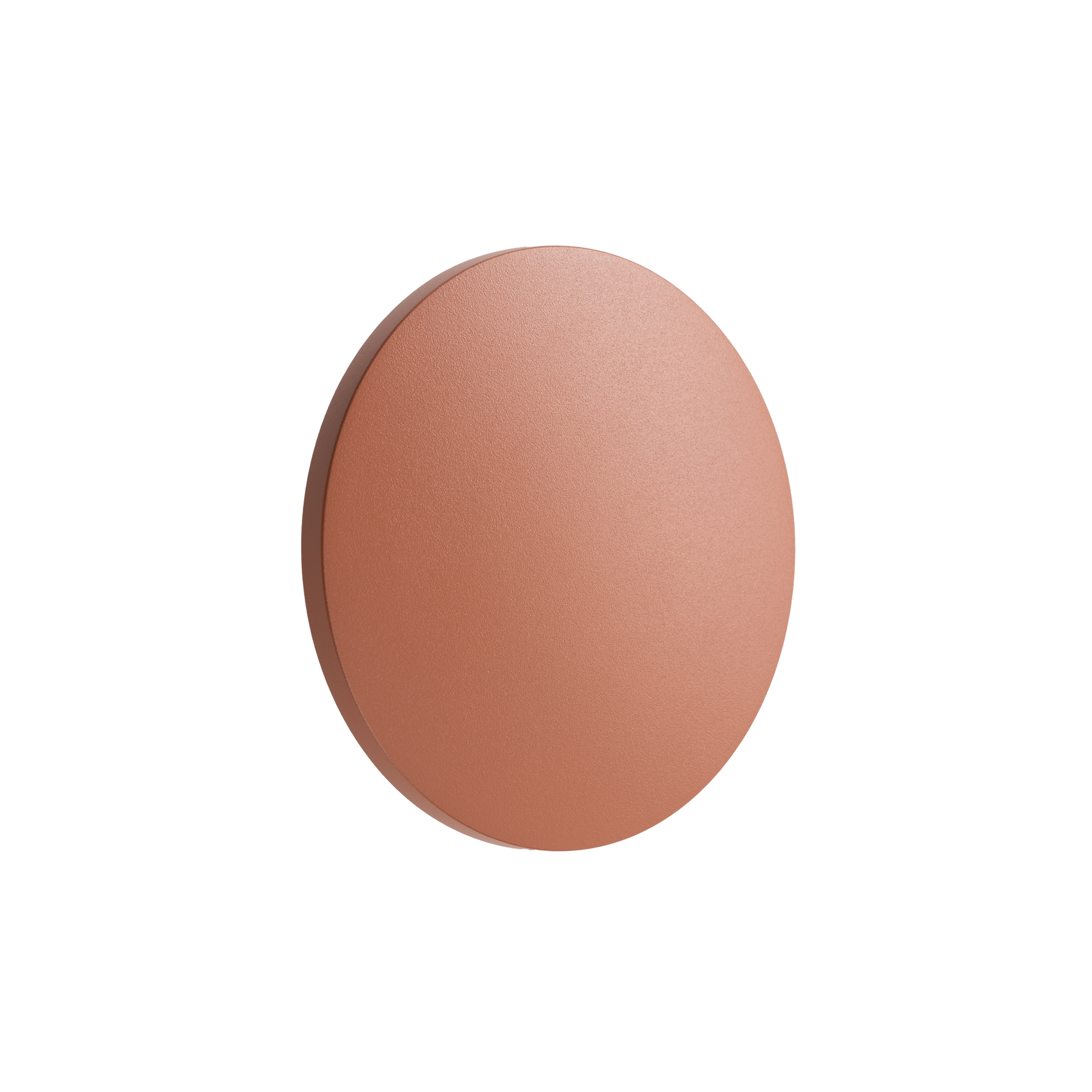 11564